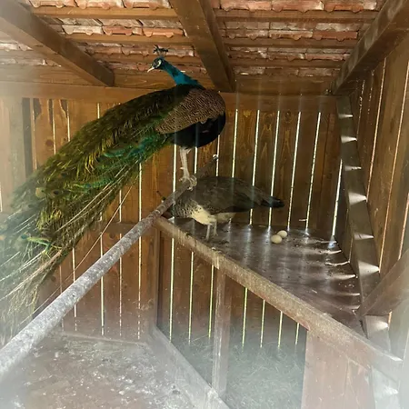 Village Gecat-villa Prázdninový dům *